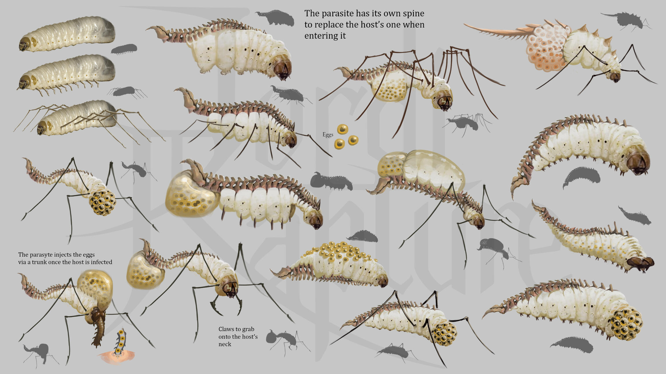 Parasite Design Ideas 1.